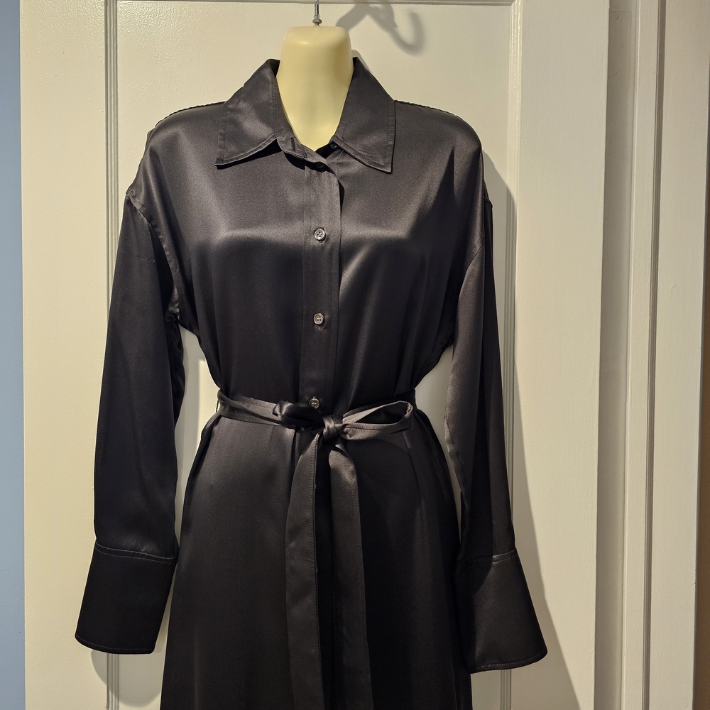 Elegant Black Silk Shirt Dress